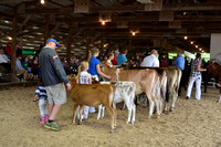 Colfax Free Fair Dunn County Dairy Show 2017
