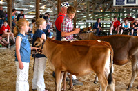Colfax Fair Dairy Open Show June 2018