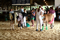Dunn County Dairy Open Show 2023