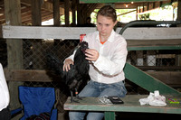 Colfax Fair Poultry 2023