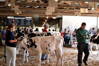 Colfax Fair Dunn County Dairy Open Show 2021