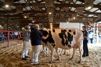 Dunn County Dairy Open Show June 2024